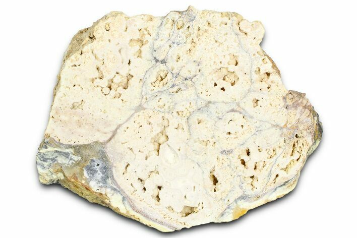 Clay Canyon Crandallite and Wardite - Old Collection Stock #362045